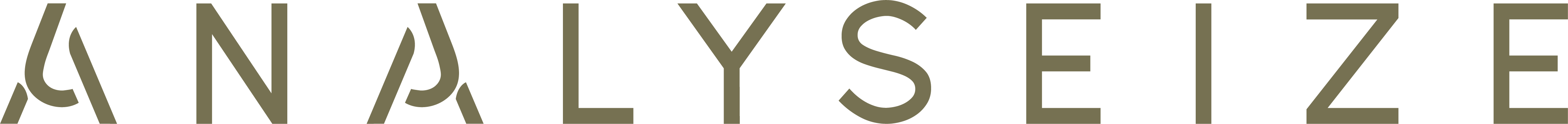 Analyseize Research & Insights Group